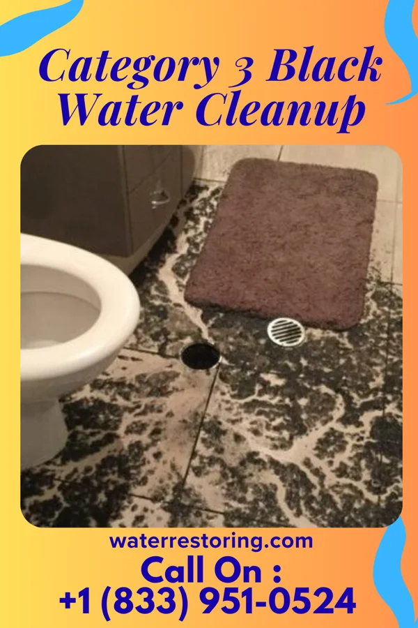 Category 3 Black Water Cleanup in Pinewood, SC