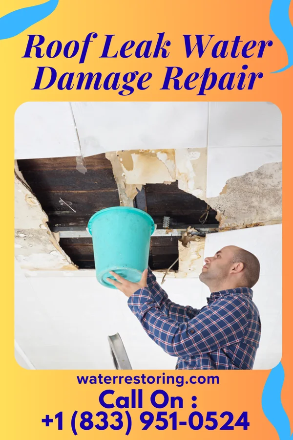 Roof Leak Water Damage Repair in Pinewood, SC